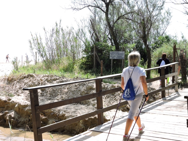  excursión en el parque 